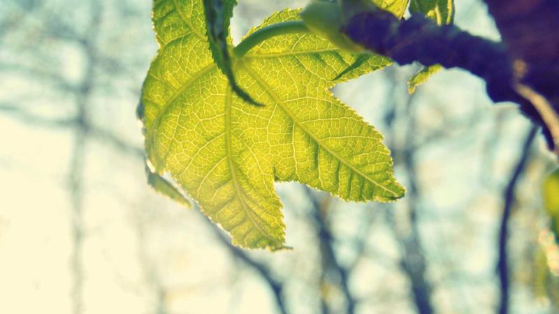 黑料网不打烊案例三：学术研究支持